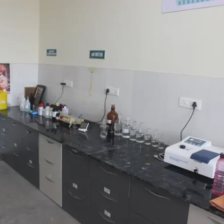 New Lab View II