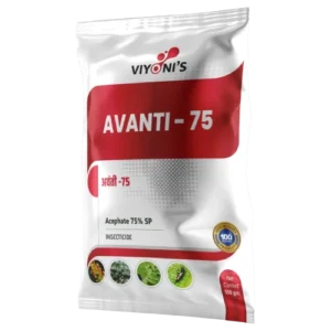 Avanti - 75