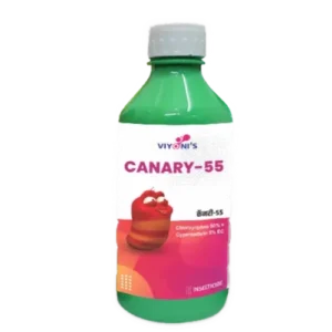 Cannary - 55
