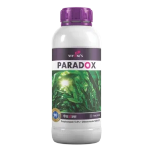 Paradox